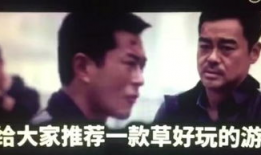 这视频有毒,揭秘“有毒视频”背后的真相与影响